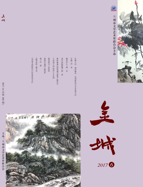 《金城》2017年第6期